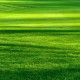 Gestreifte Muster aus Licht und Schatten auf dem Rasen eines Golfplatzes