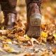 frau geht durch den herbstwald