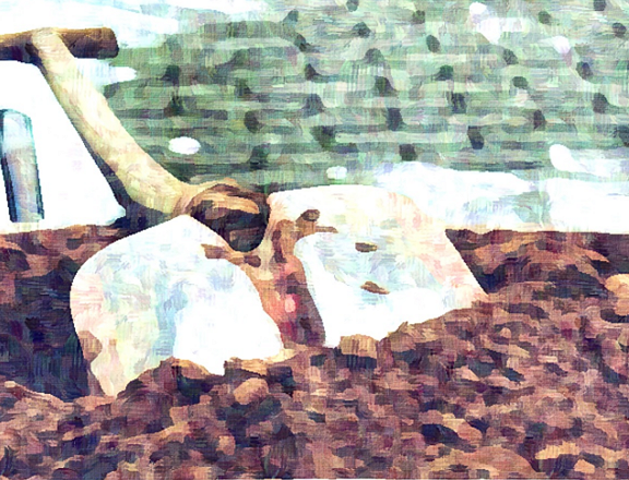 pala
