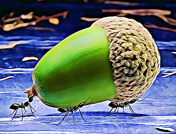hormigas trabajando