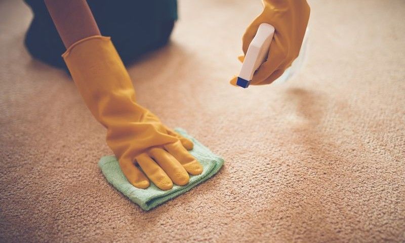 Close-up image of woman removing stain from the carpet