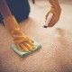 Close-up image of woman removing stain from the carpet