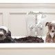 Two different size terrier dogs in tub with unhappy expressions and soap suds on heads.