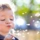 happy smiling child playing with dandelion outdoor in a garden