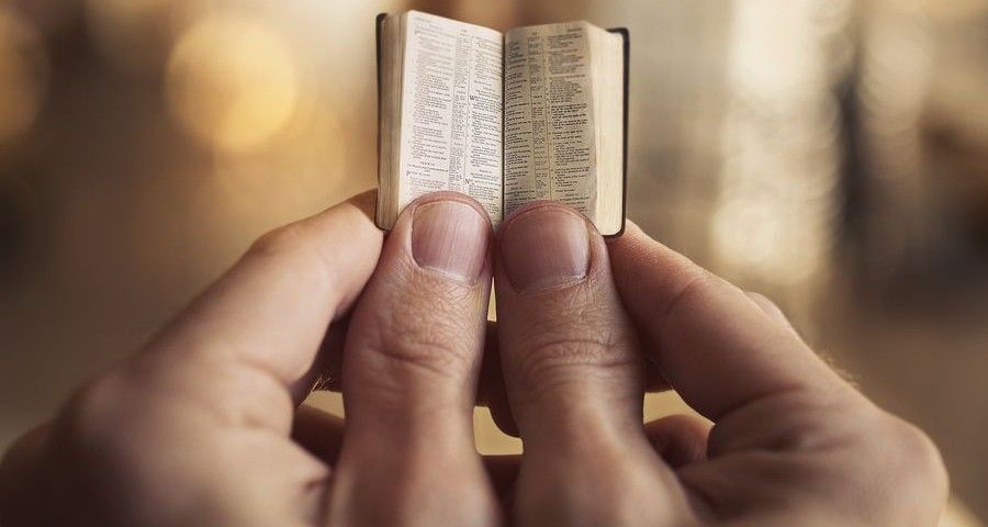 Two hands holding a very small Bible.