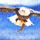 aguila