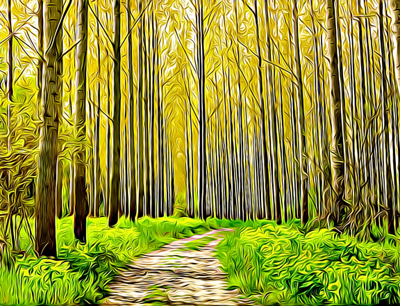 bosque